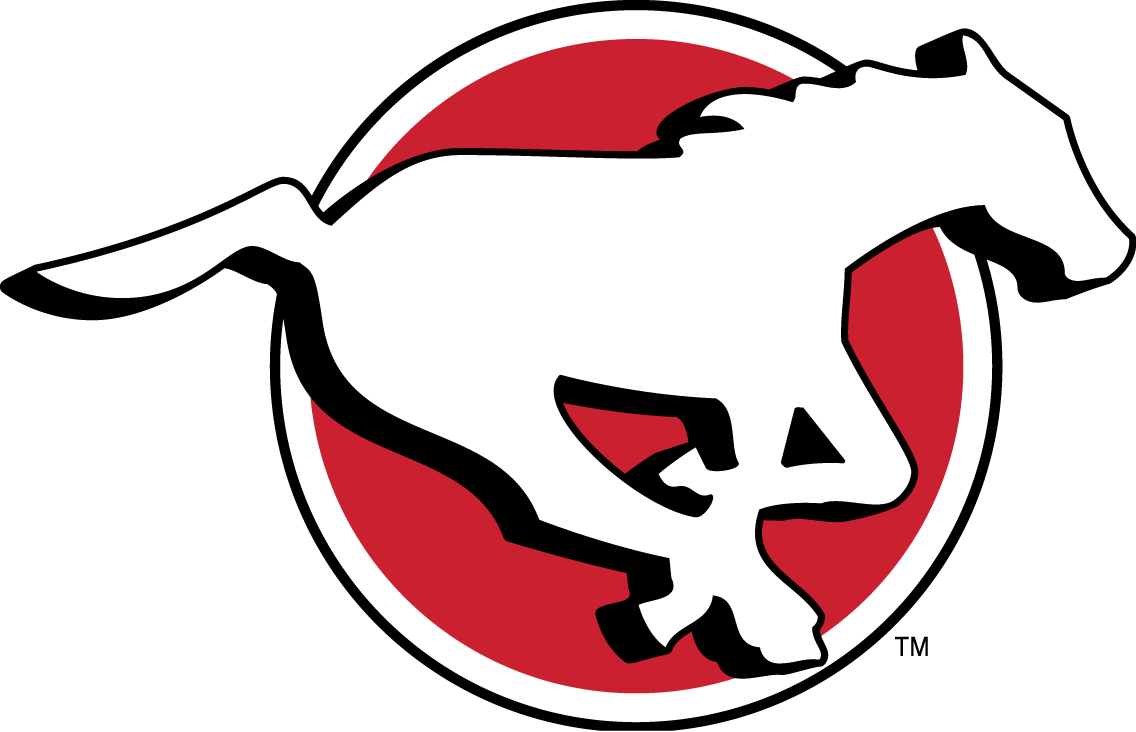 Calgary Stampeders 2016-2018 Primary Logo vinyl decal